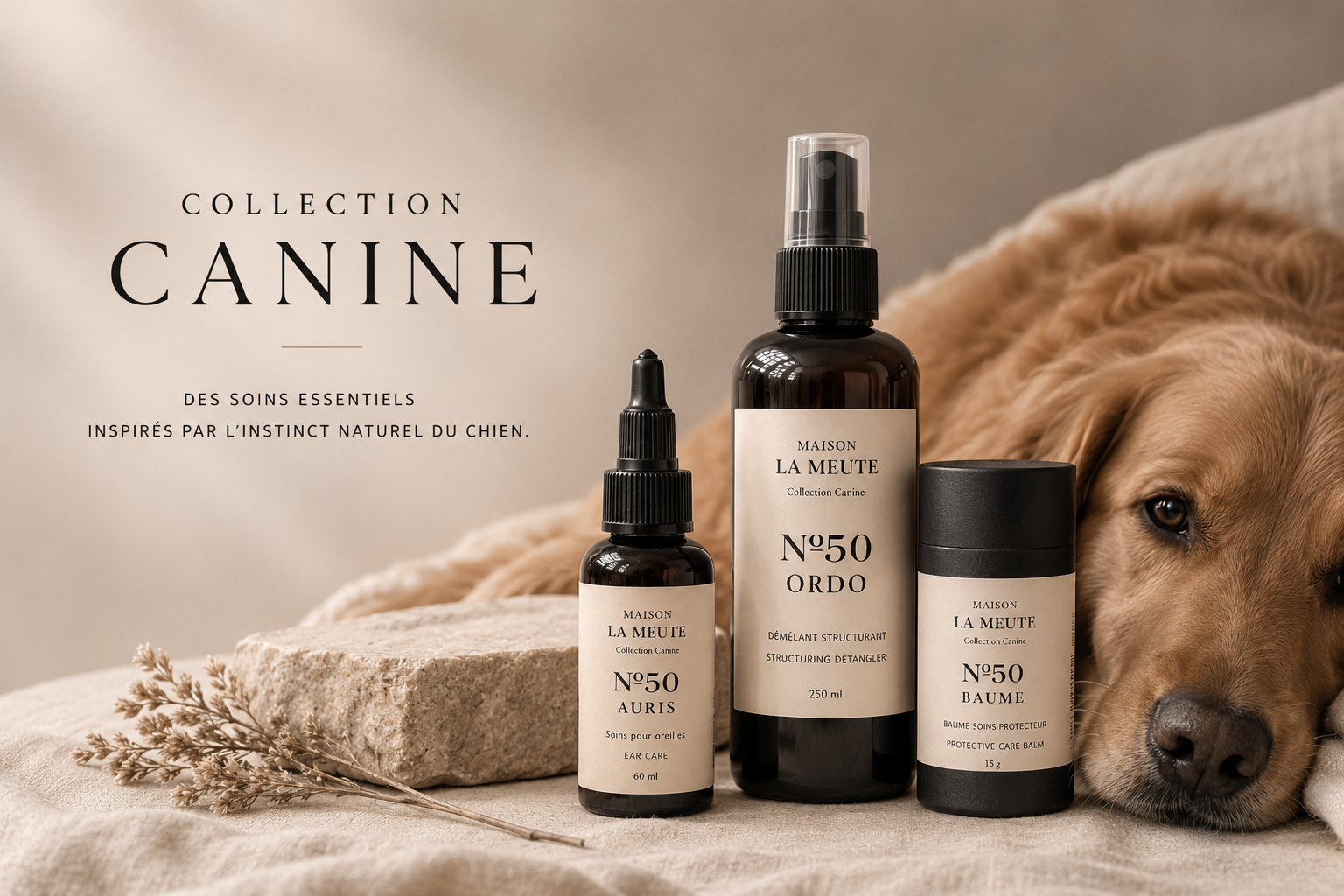 Collection Canine