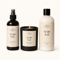 TRIO EXIL Nº29